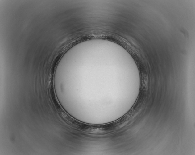 X0000112930507200908241057