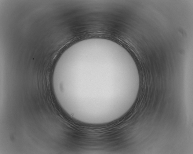 X0000112930508200908241057