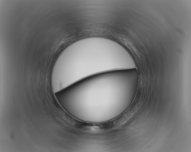 X0000112930509200908241057