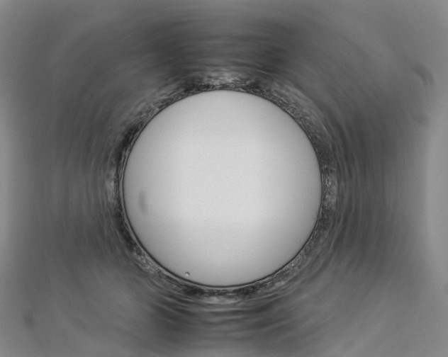 X0000112930510200908241057