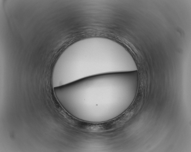 X0000112930513200908241057