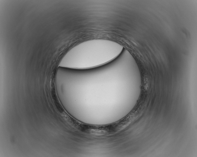 X0000112930515200908241057