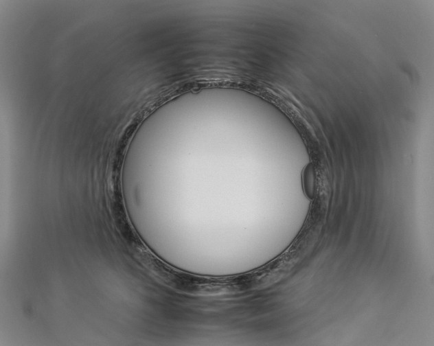 X0000112930516200908241057