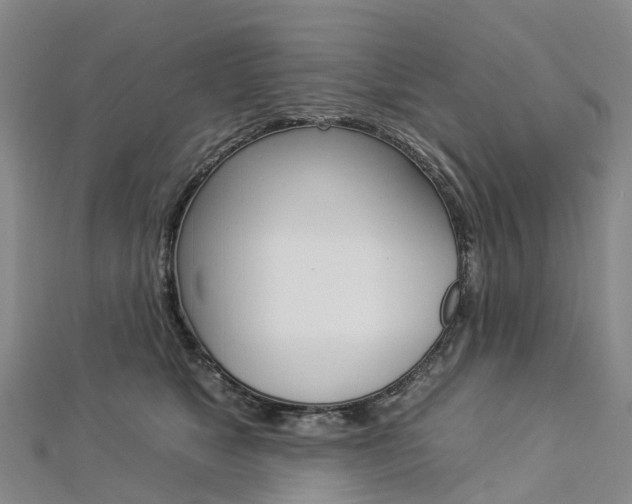 X0000112930517200908241057