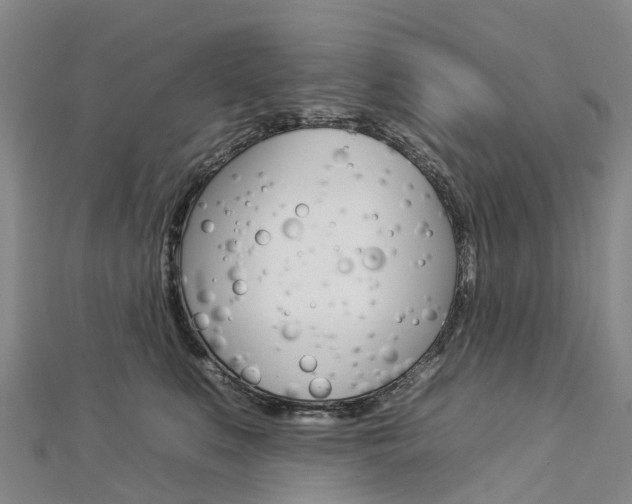 X0000112930519200908241057