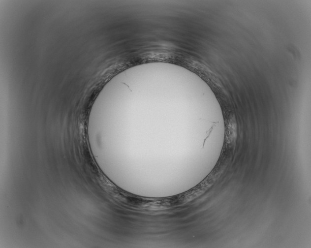 X0000112930522200908241057