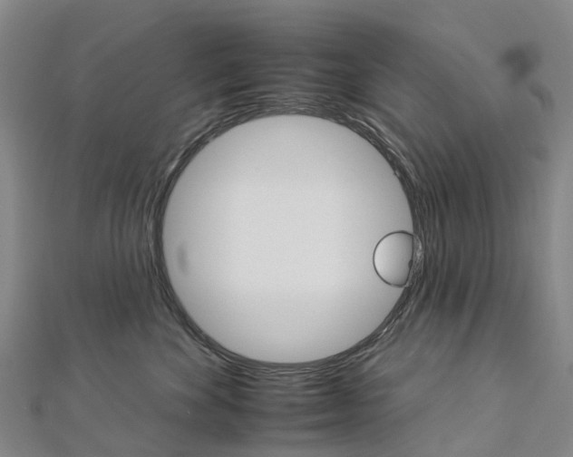 X0000112930524200908241057