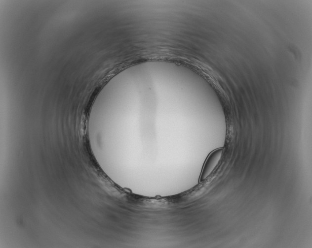 X0000112930525200908241057