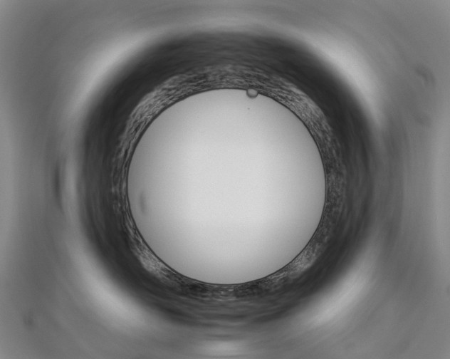 X0000112930526200908241057