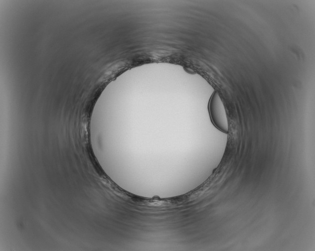 X0000112930527200908241057