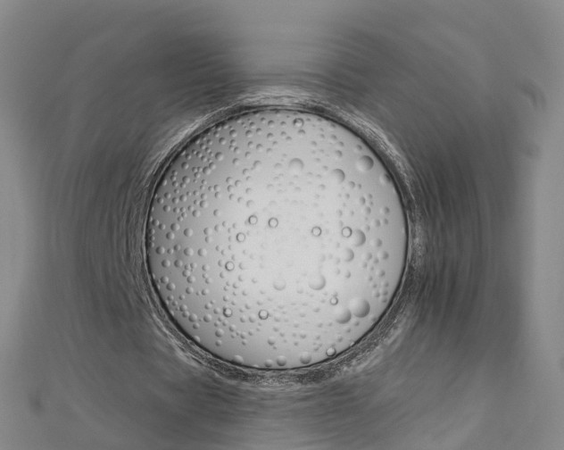 X0000112930529200908241056
