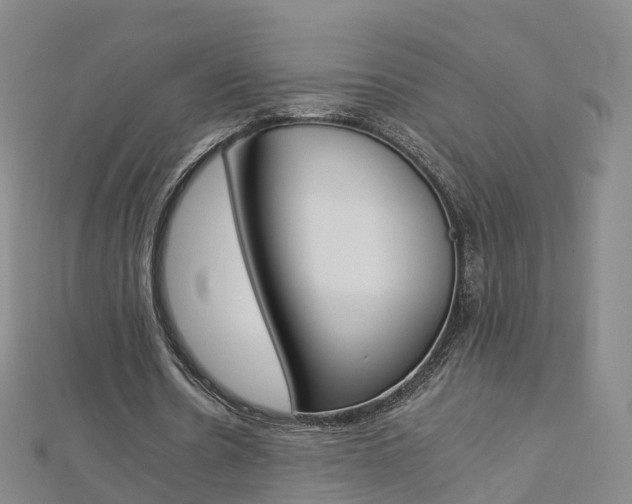 X0000112930530200908241056