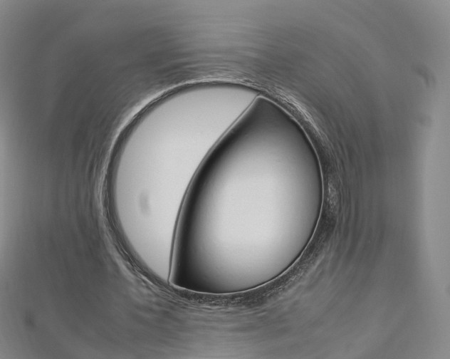 X0000112930532200908241056