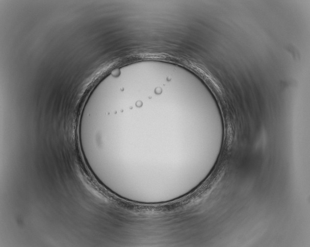 X0000112930533200908241056