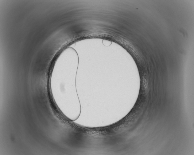 X0000112930534200908241056