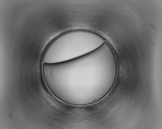 X0000112930535200908241056