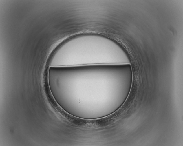 X0000112930536200908241056