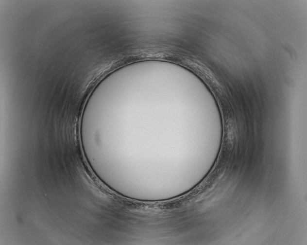 X0000112930537200908241056