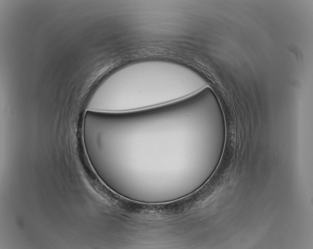 X0000112930538200908241056