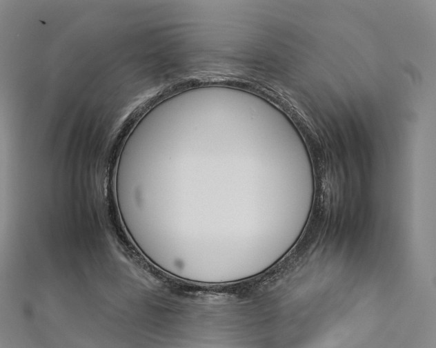 X0000112930539200908241056