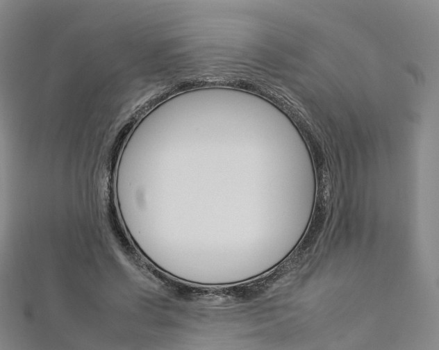 X0000112930542200908241056