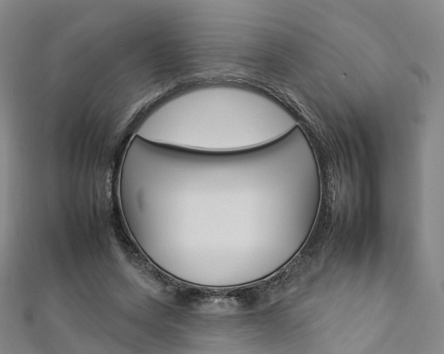 X0000112930543200908241056