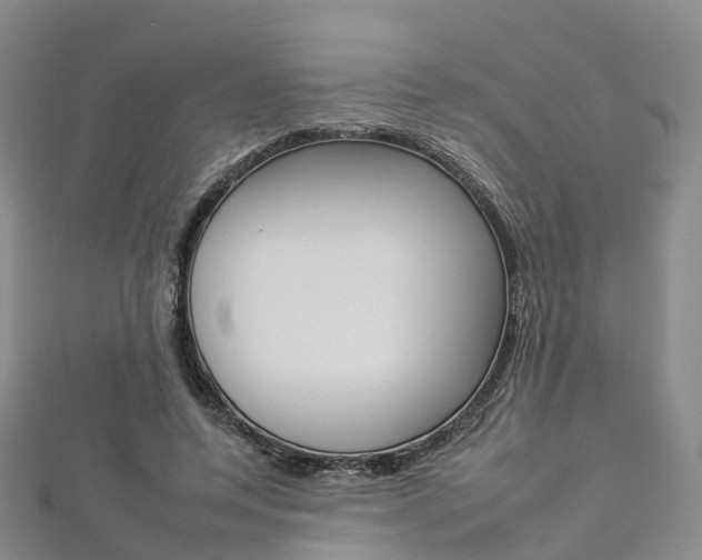 X0000112930544200908241056