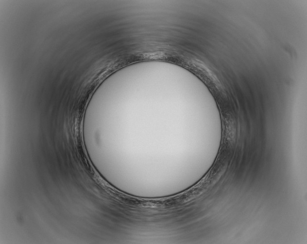 X0000112930549200908241056