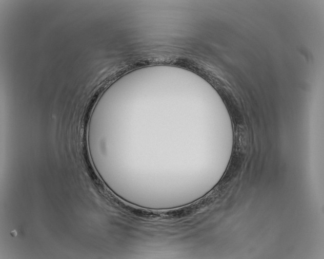 X0000112930550200908241056
