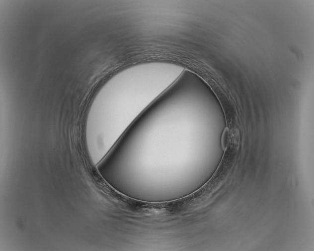X0000112930552200908241056