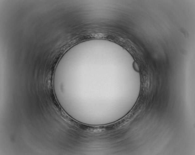 X0000112930553200908241056