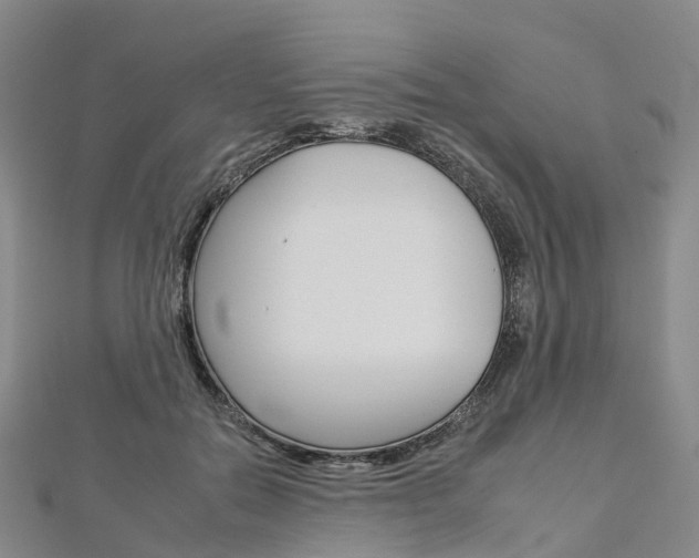 X0000112930554200908241056