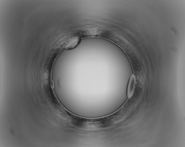 X0000112930556200908241056