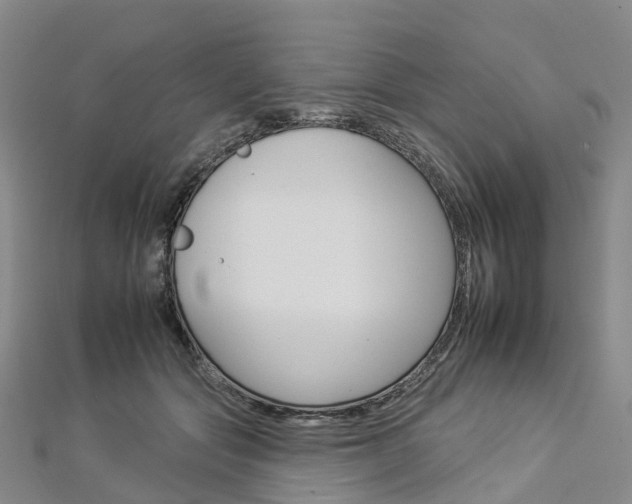 X0000112930557200908241056