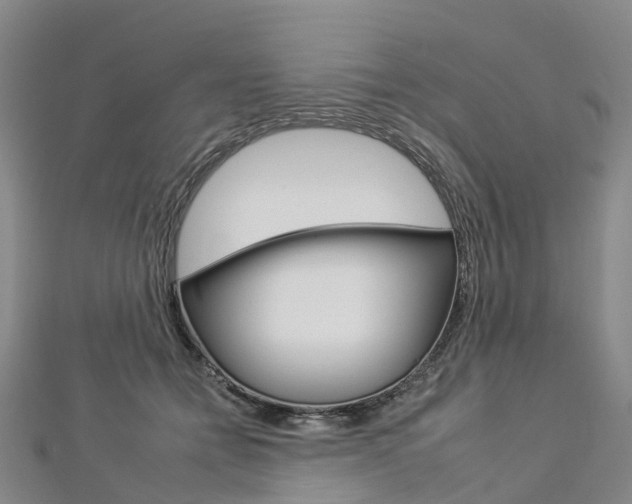 X0000112930558200908241056