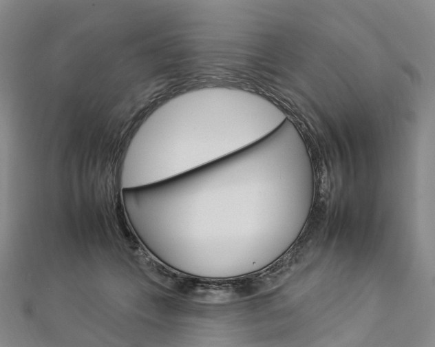 X0000112930559200908241056