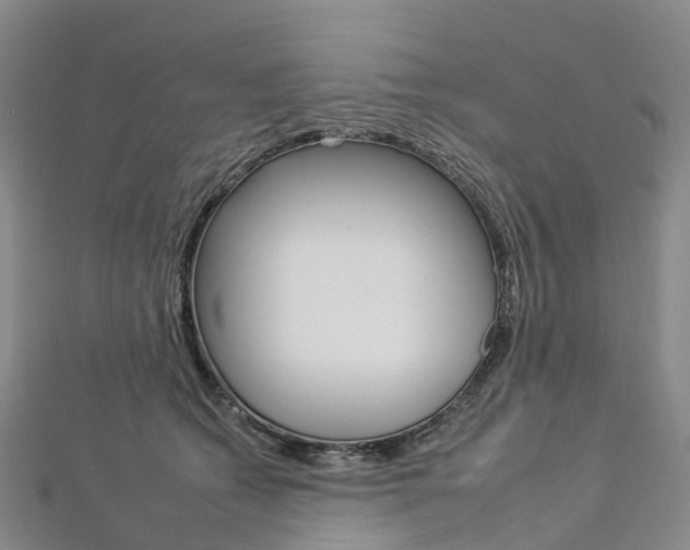 X0000112930562200908241056