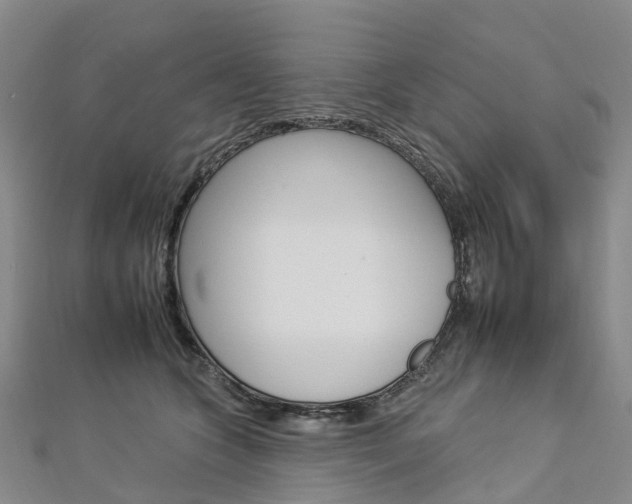 X0000112930563200908241056
