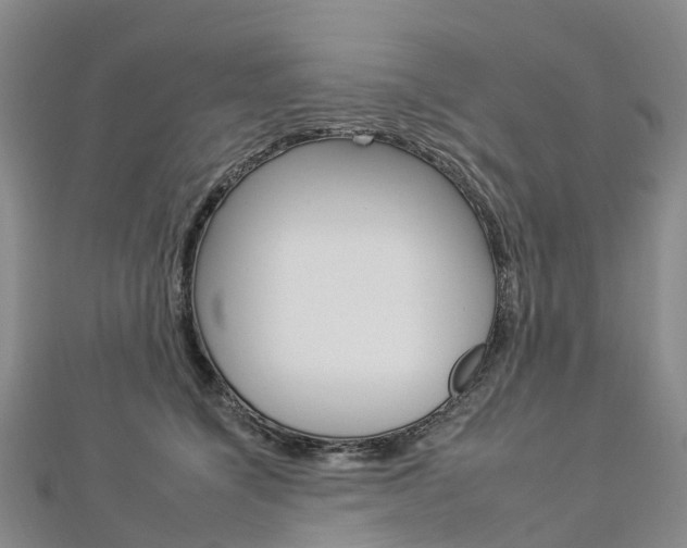 X0000112930564200908241057