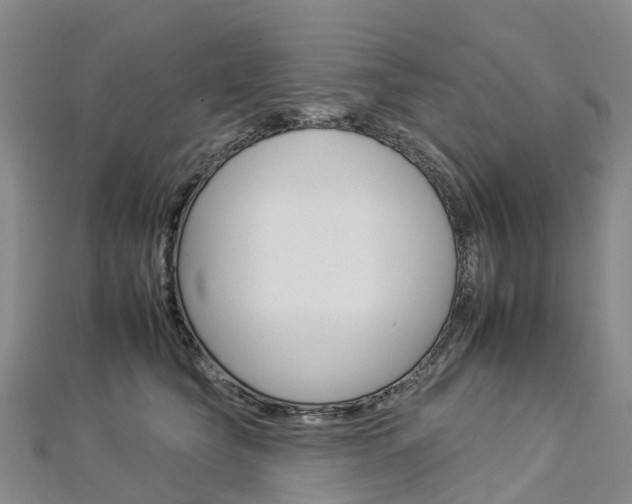X0000112930565200908241057