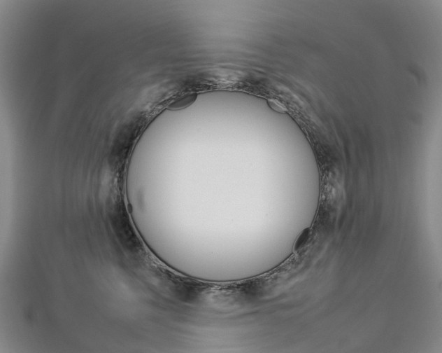 X0000112930568200908241057