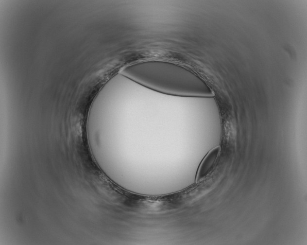 X0000112930570200908241057