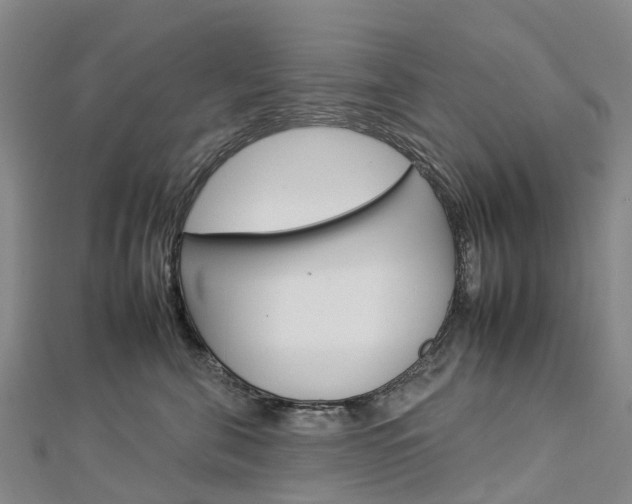 X0000112930571200908241057