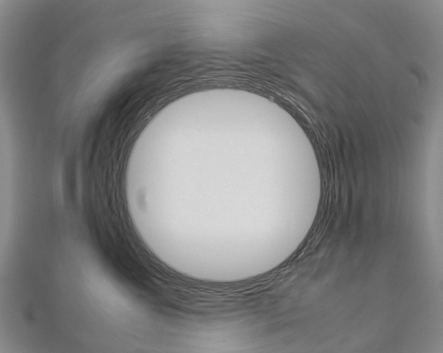 X0000112930572200908241057