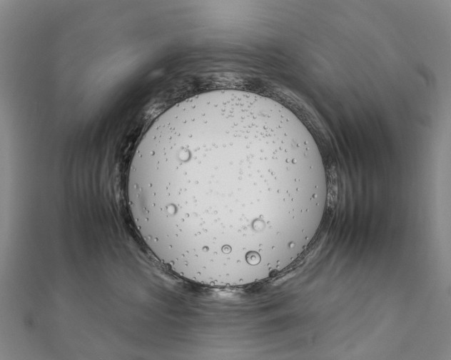 X0000112930573200908241057