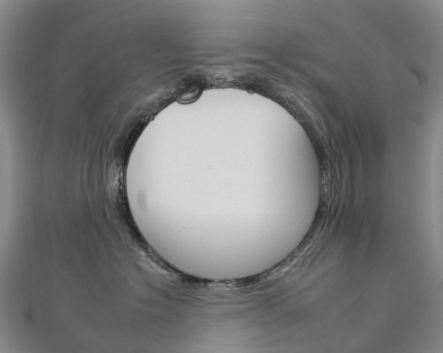 X0000112930574200908241057
