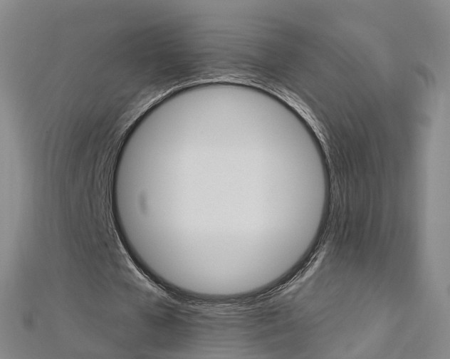 X0000112930577200908241056