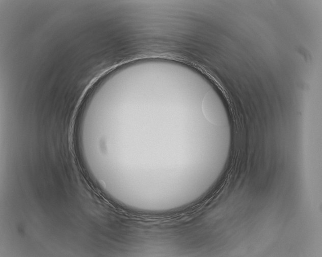 X0000112930579200908241056