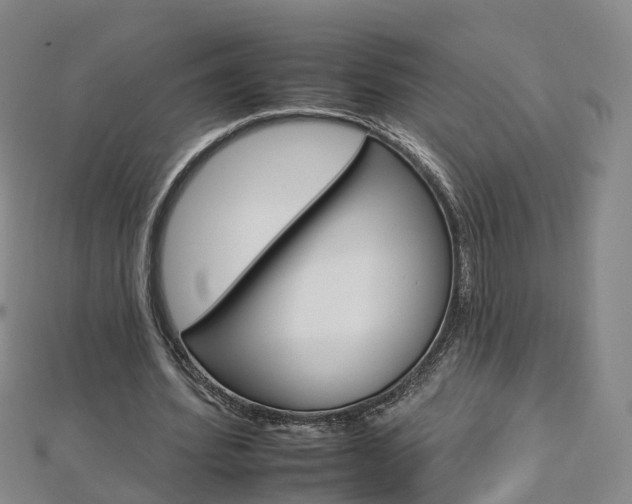 X0000112930580200908241056