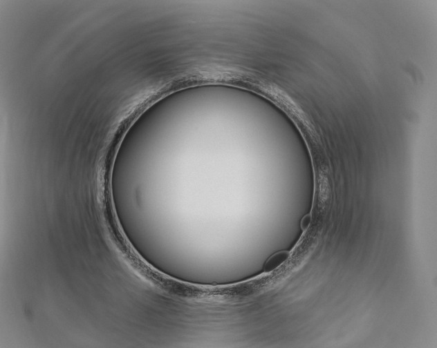 X0000112930581200908241056